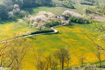 Viste e Panorami di Garbagna - Scorcio sulla valle